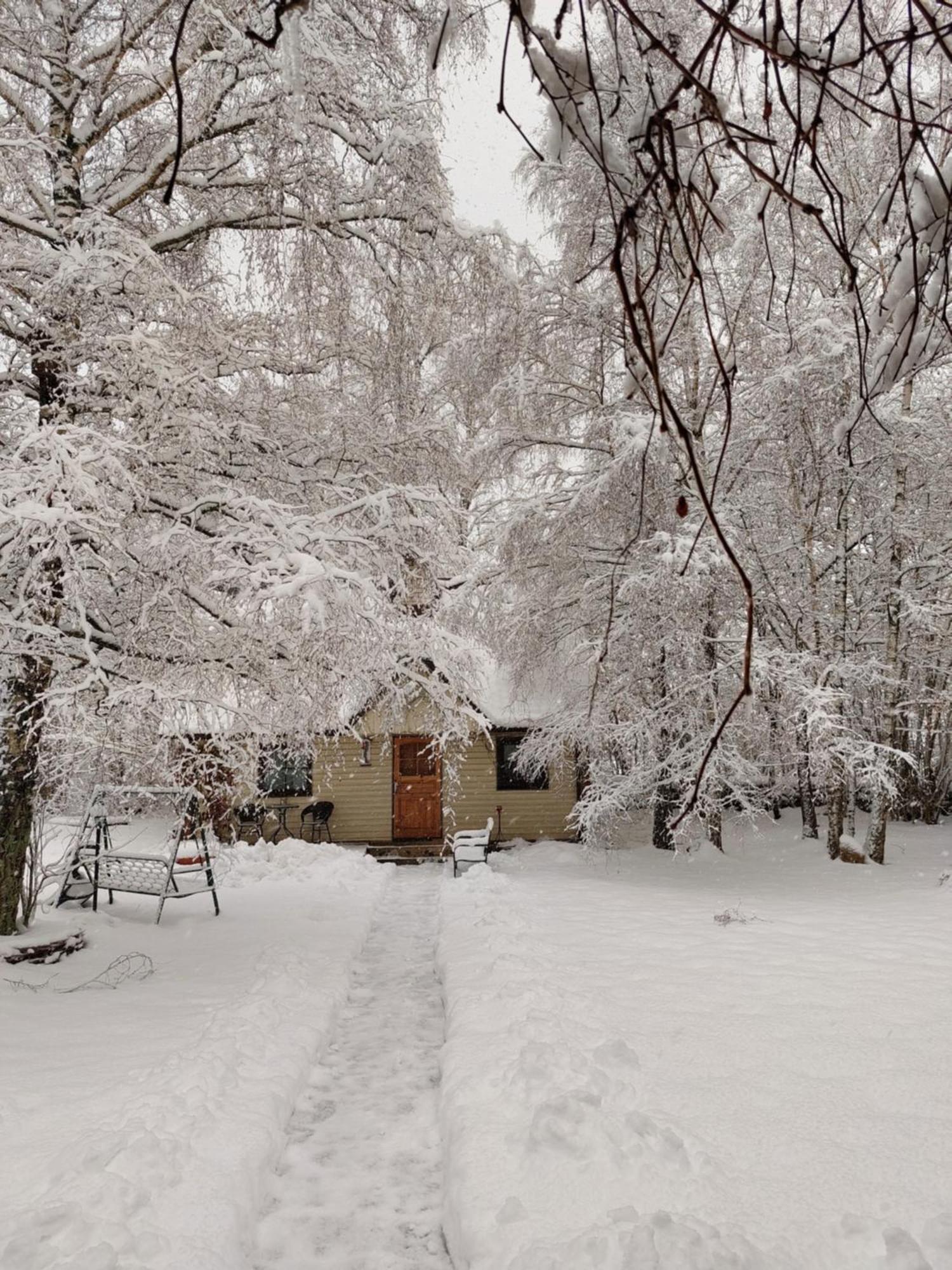 Tonise Holiday Houses Lilbi  ภายนอก รูปภาพ