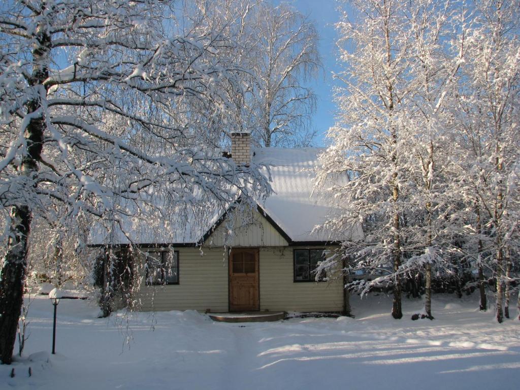 Tonise Holiday Houses Lilbi  ภายนอก รูปภาพ